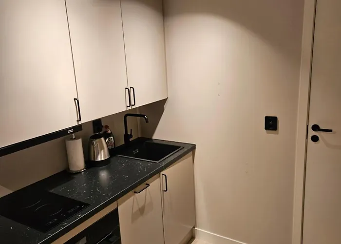 Studio Apartment *